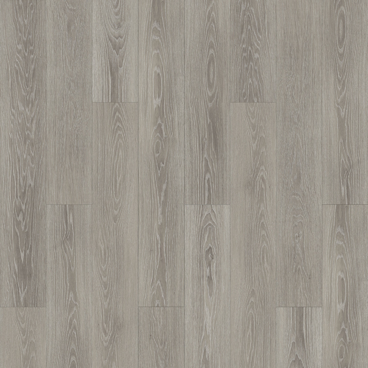 Elevations Prima Luxury Vinyl Flooring in Birch | Raskin